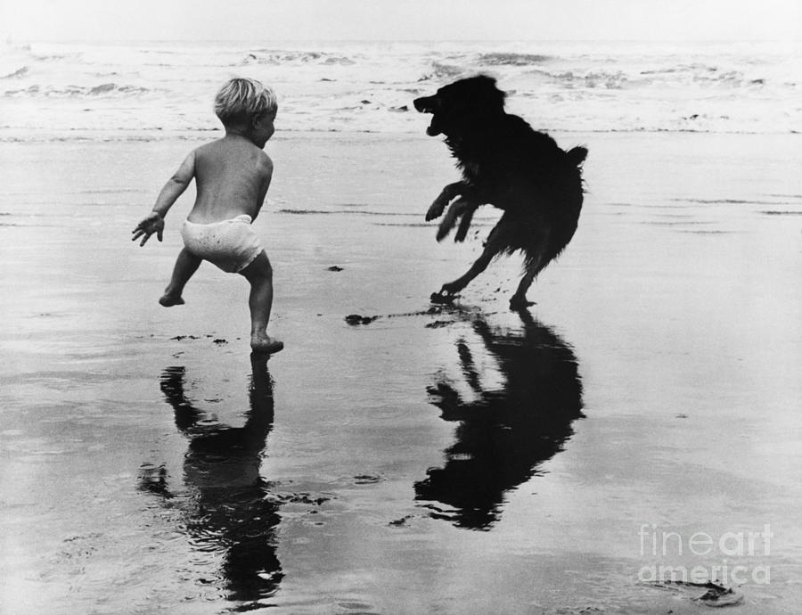 Boy And Dog Playing On A New Zealand Photograph by Bettmann