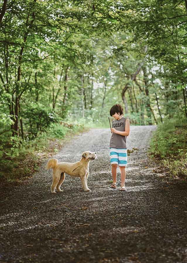Tree Photograph - Boy And Pet Dog Playing With Sticks On A Road Through The Woods. by Cavan Images