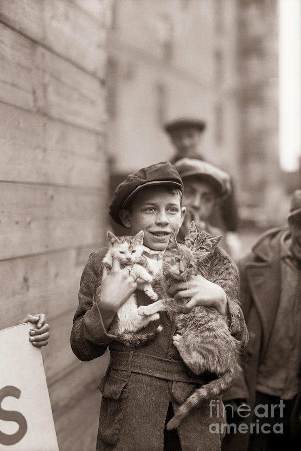 Boy Carries Three Young Cats Photograph by Bettmann