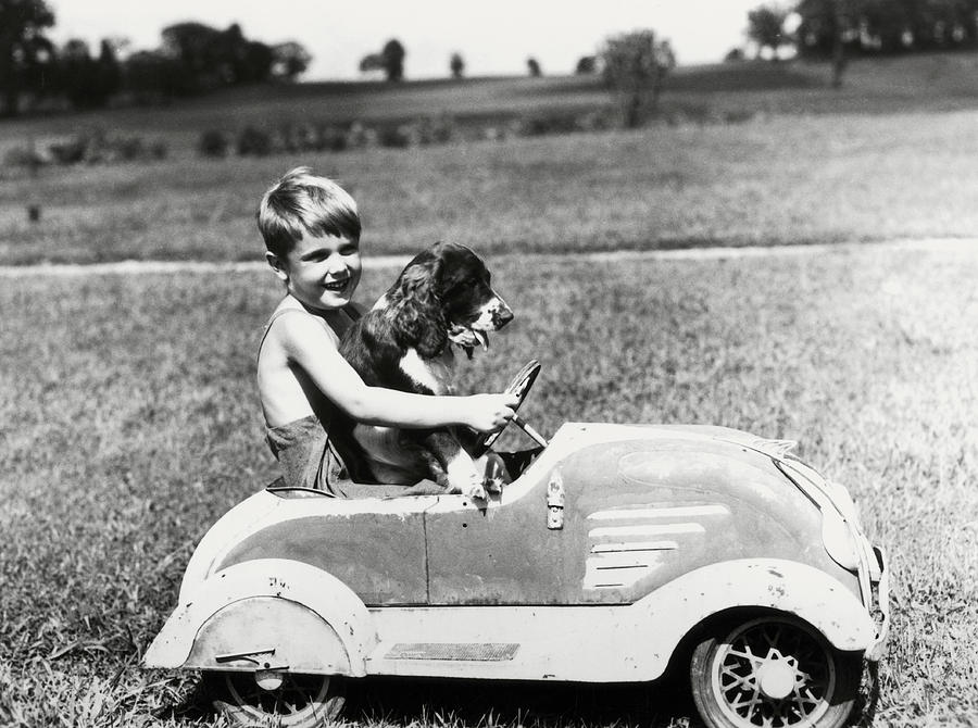 Boy Driving Toy Car, With Springer Photograph by H. Armstrong Roberts
