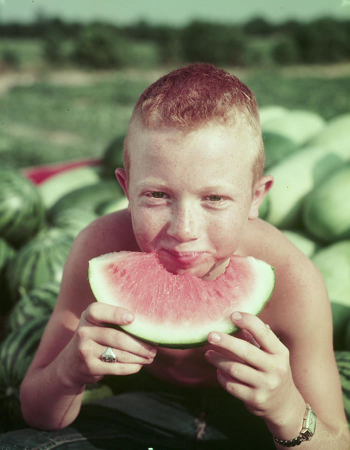 Purdue University Photograph - Boy Eating Watermelon by John Dominis