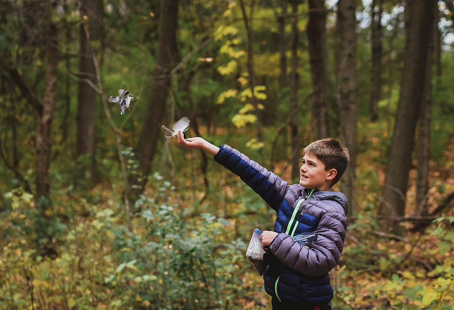 Nature Photograph - Boy Feeding White Breasted Nuthatch In Forest During Autumn by Cavan Images