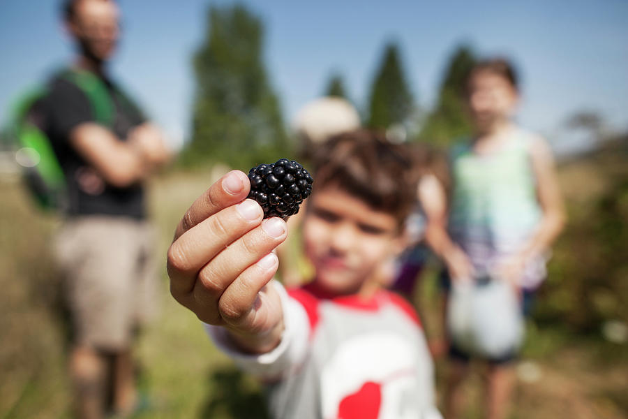 Nature Photograph - Boy Holding Blackberry While Family Standing In Background by Cavan Images