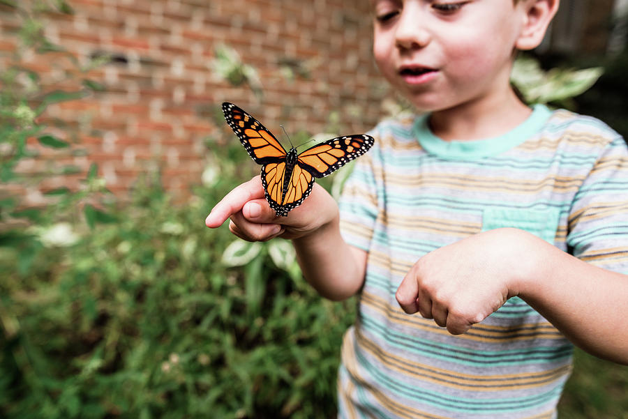 Butterfly Photograph - Boy Holding Monarch Butterfly On His Hand And Smiling by Cavan Images