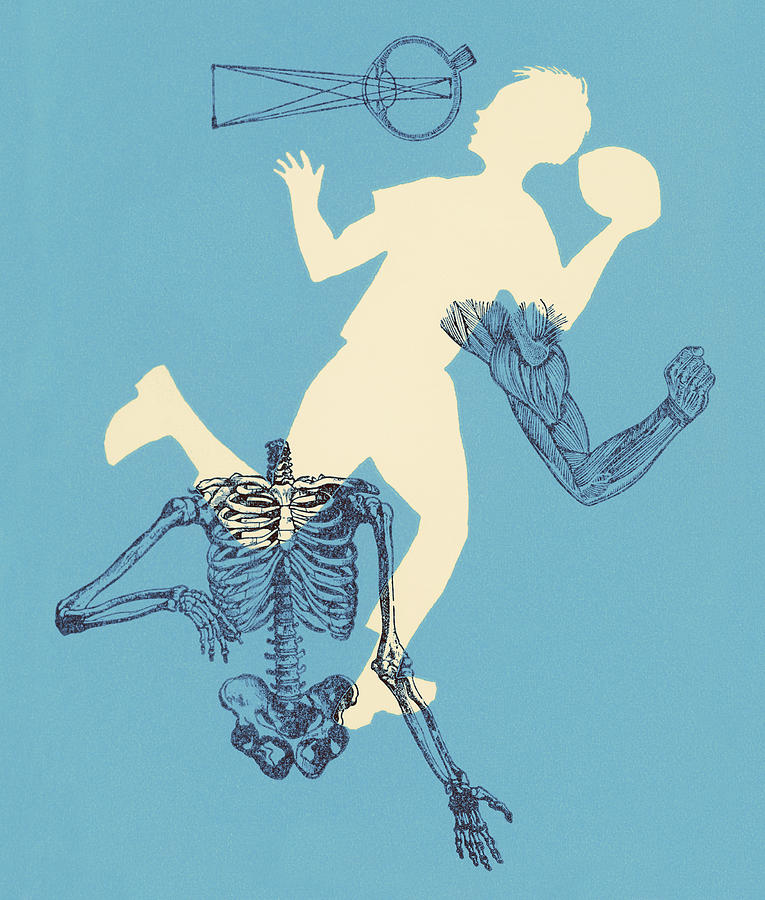 Football Drawing - Boy Playing Football With Muscles and Bones by CSA Images
