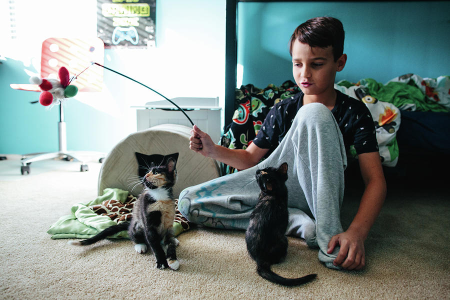 Cat Photograph - Boy Plays With Two Kittens In His Bedroom by Cavan Images