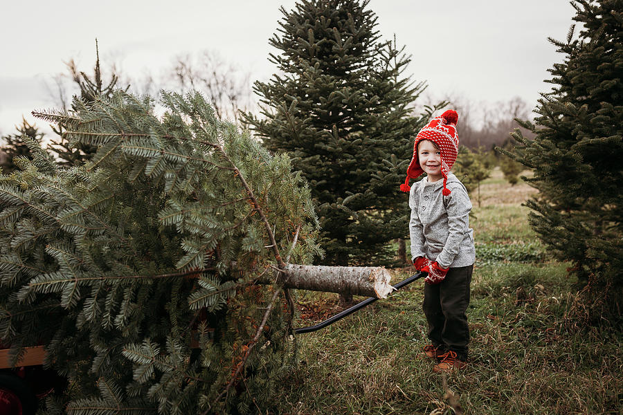 Boy Pulling Christmas Tree On Wagon At Tree Farm Photograph by Cavan ...