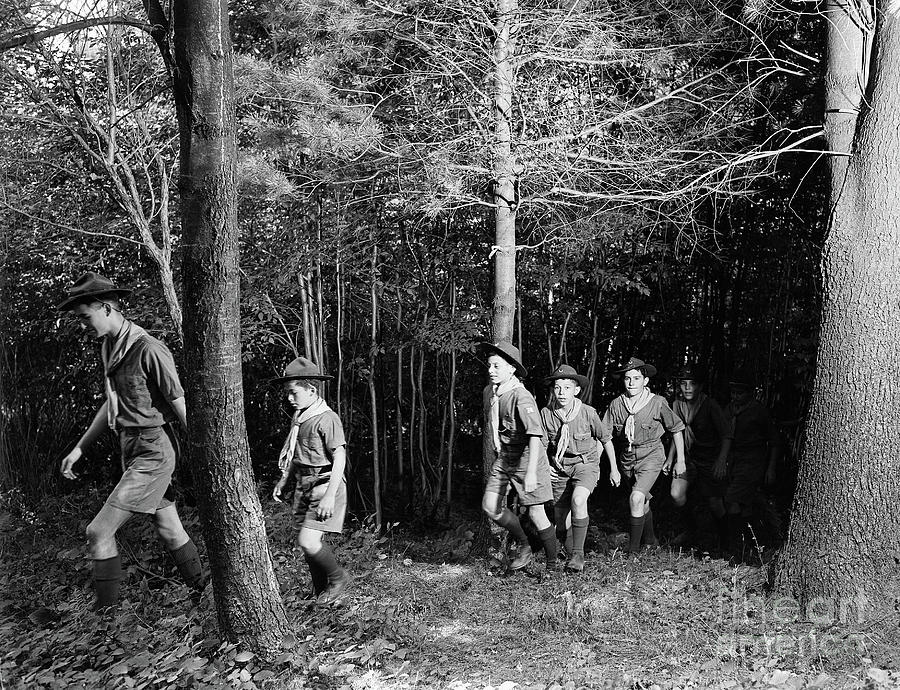 Boy Scouts Hiking Through The Woods Photograph by Bettmann
