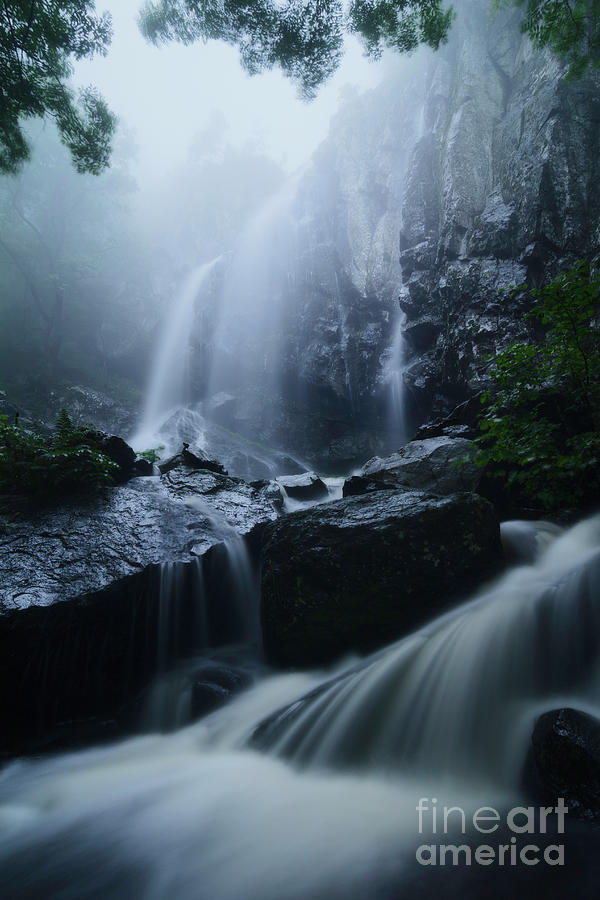 Boyana Falls II Photograph by Tihomir Mladenov