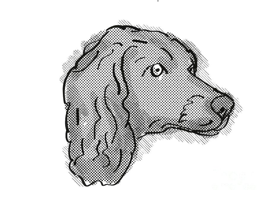 Boykin Spaniel Dog Breed Cartoon Retro Drawing Digital Art