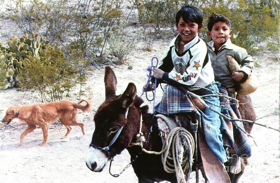 Boys Dog And Donkey On Way Home In Mexico. Photograph