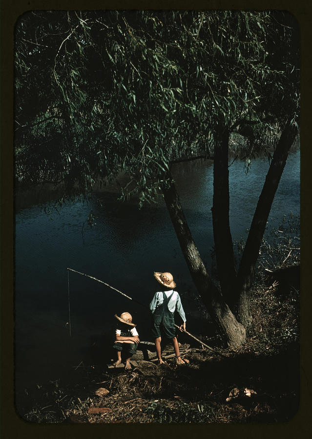 Fish Painting - Boys fishing by Wolcott, Marion Post