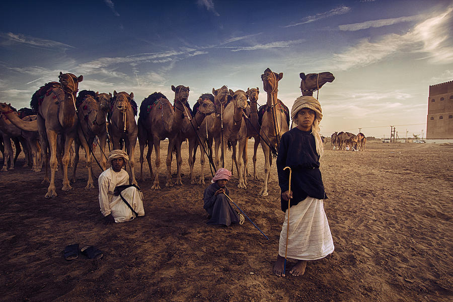 Camel Photograph - Boys With Camles by Nid