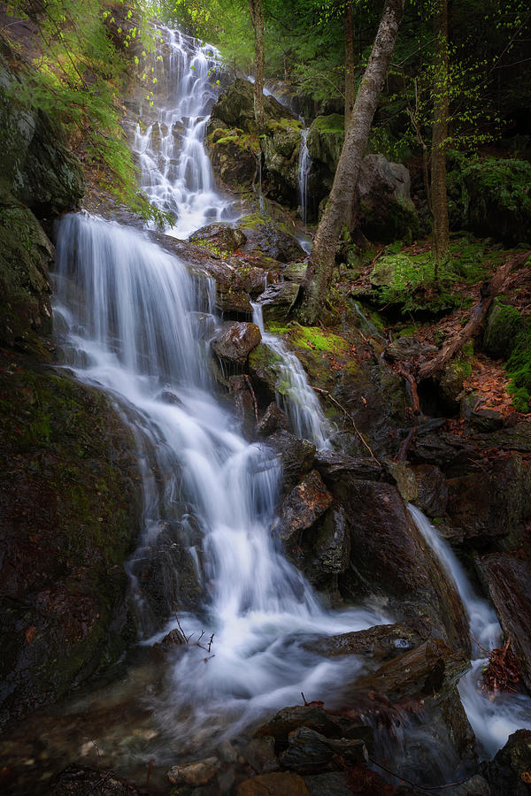 Waterfall Photograph - Brace Mountain Falls by Bill Wakeley