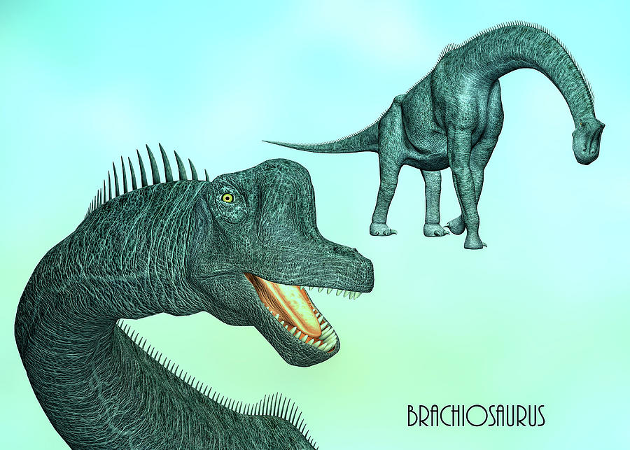 Brachiosaurus Digital Art by Bob Orsillo