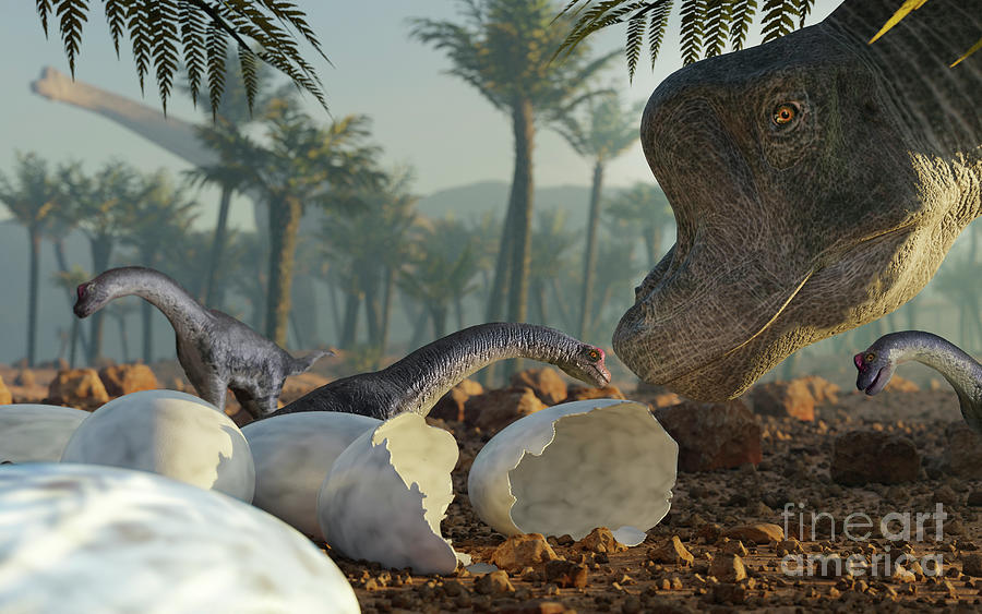 Brachiosaurus Dinosaur With Young Photograph by Mark Garlick/science Photo Library