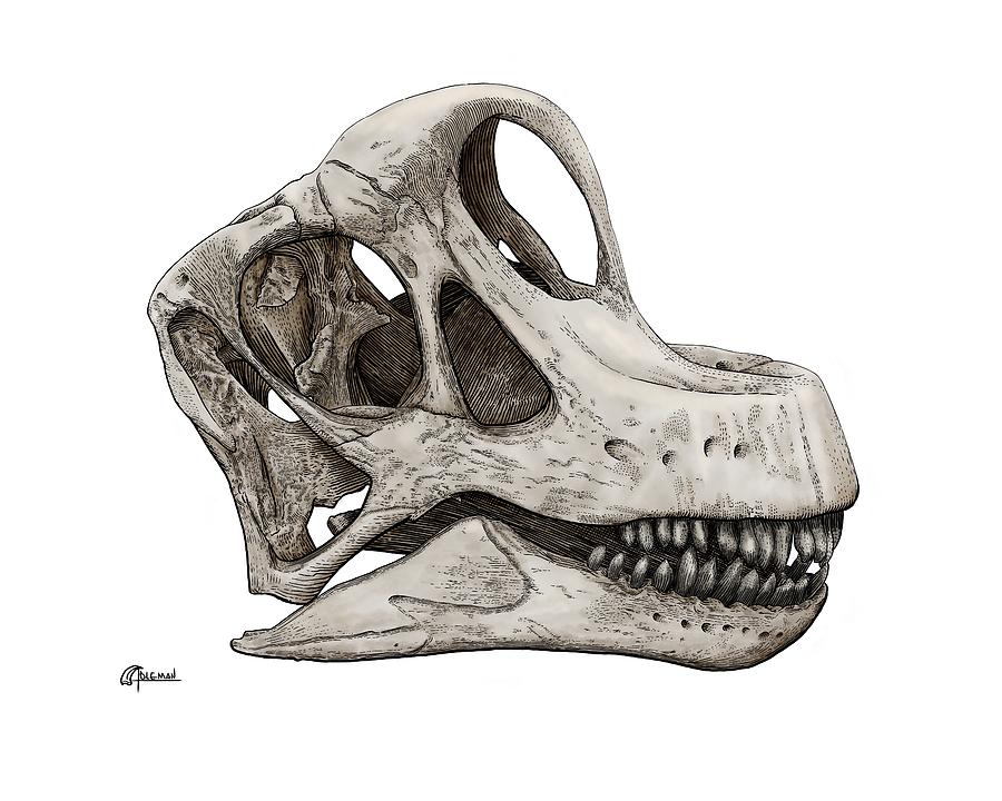 Brachiosaurus  Digital Art by Rick Adleman