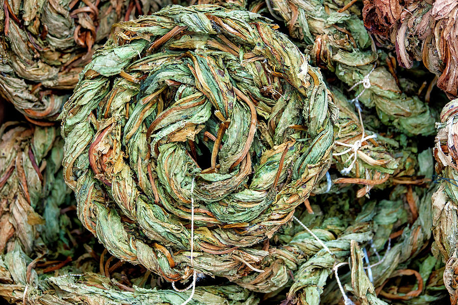  Braided dried sorrel leaves Photograph by Fabrizio Troiani