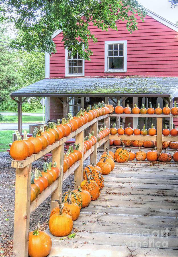 Bramhalls Country Store Autumn Photograph by Janice Drew