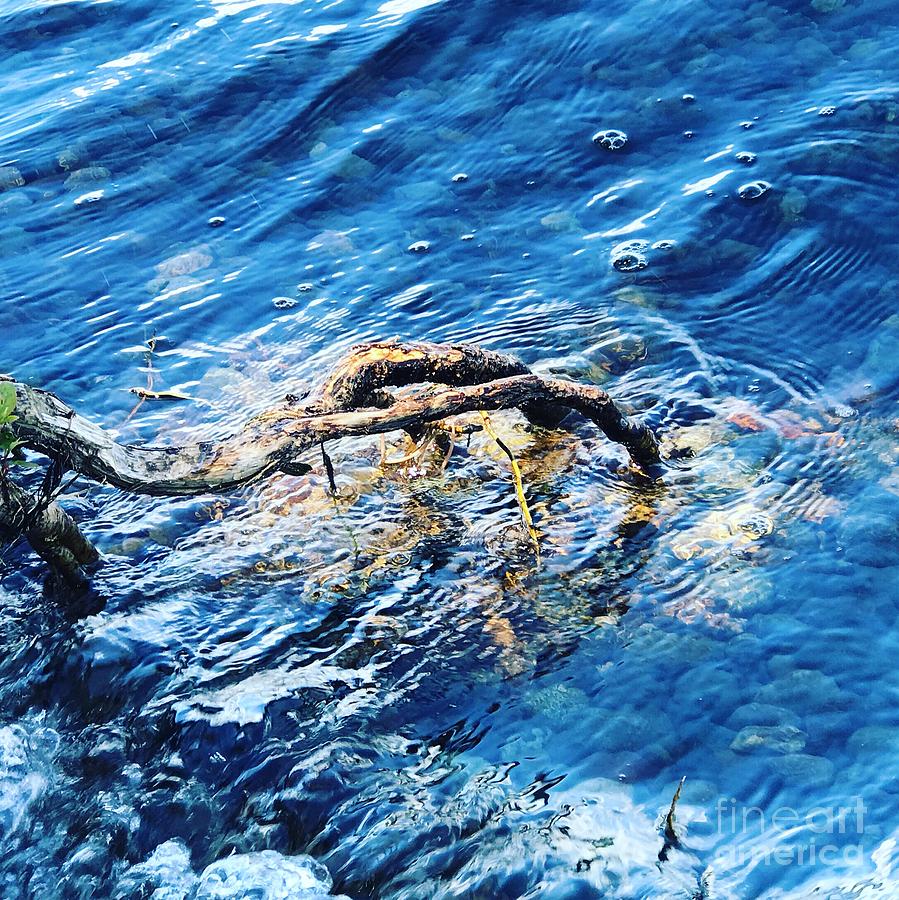 Branch in Blue Water Photograph by Suzanne Lorenz