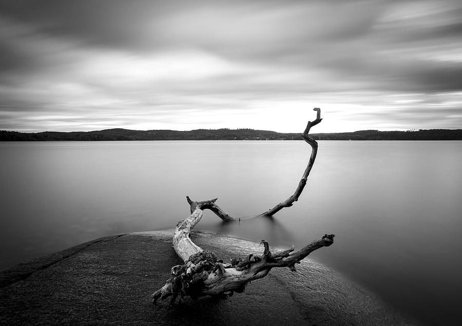 Branch Long Exposure Lake Photograph by Christian Lindsten