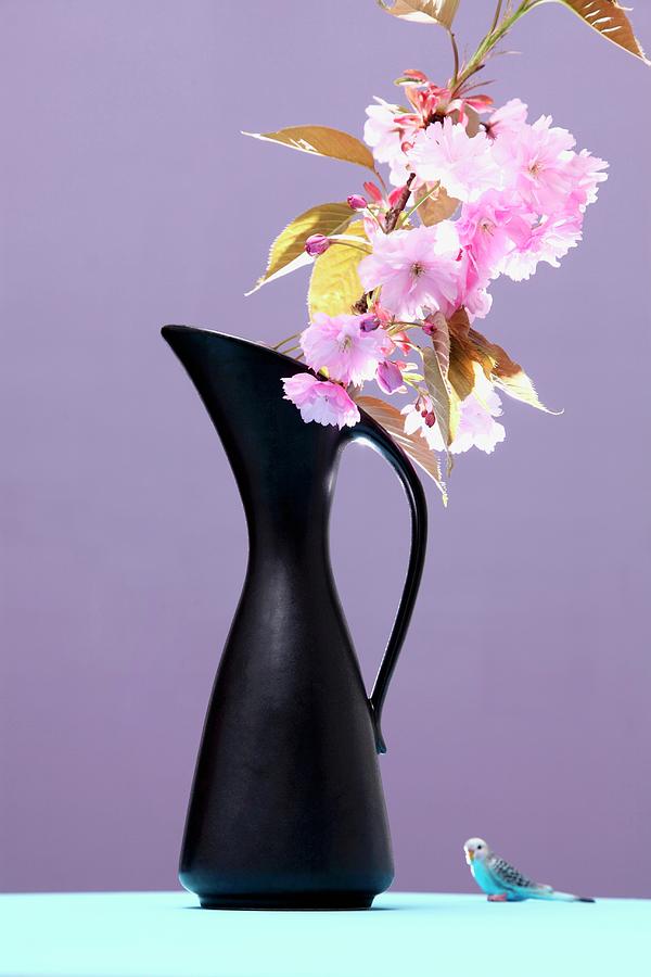 Branch Of Cherry Blossom In Black Vase And Budgerigar Ornament Against Purple Background Photograph by Thordis Rggeberg