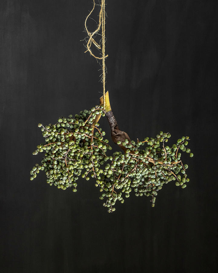 Branch Of Dried Dates Photograph by Corina Bouweriks Fotografie