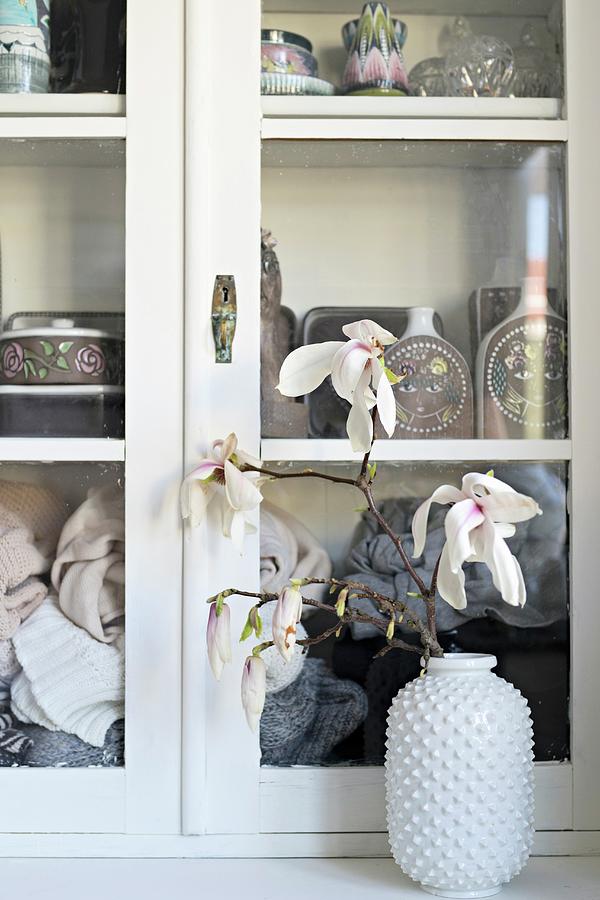 Branch Of Flowering Magnolia In White Vase With Structured Surface Inn Front Of Display Case Photograph by Cecilia Mller
