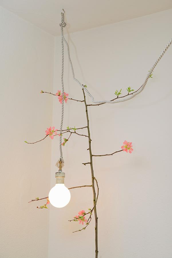 Branch Of Flowering Quince With Delicate Pink Flowers, Lit Light Bulb And Vintage-style Power Cable Photograph by Revier 51