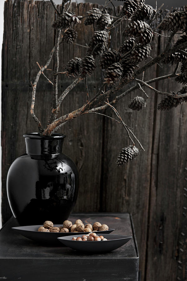 Branch Of Larch Cones In Black Vase Photograph by Lykke Foged & Morten Holtum