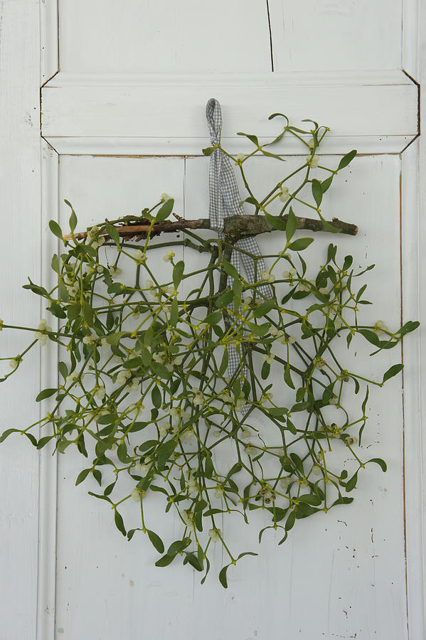 Branch Of Mistletoe Hung From Old Cupboard Door By Gingham Ribbon Photograph by Martina Schindler