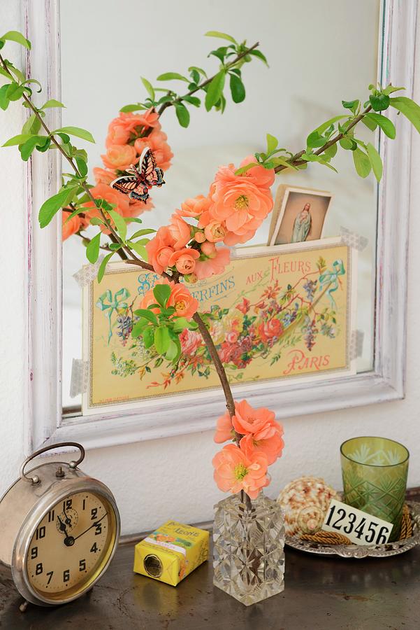 Branch Of Salmon Pink Flowering Quince chaenomeles In Small Crystal Vase In Front Of Mirror Decorated With Nostalgic Postcards And Various Vintage Objects On Metal Cabinet Photograph by Revier 51