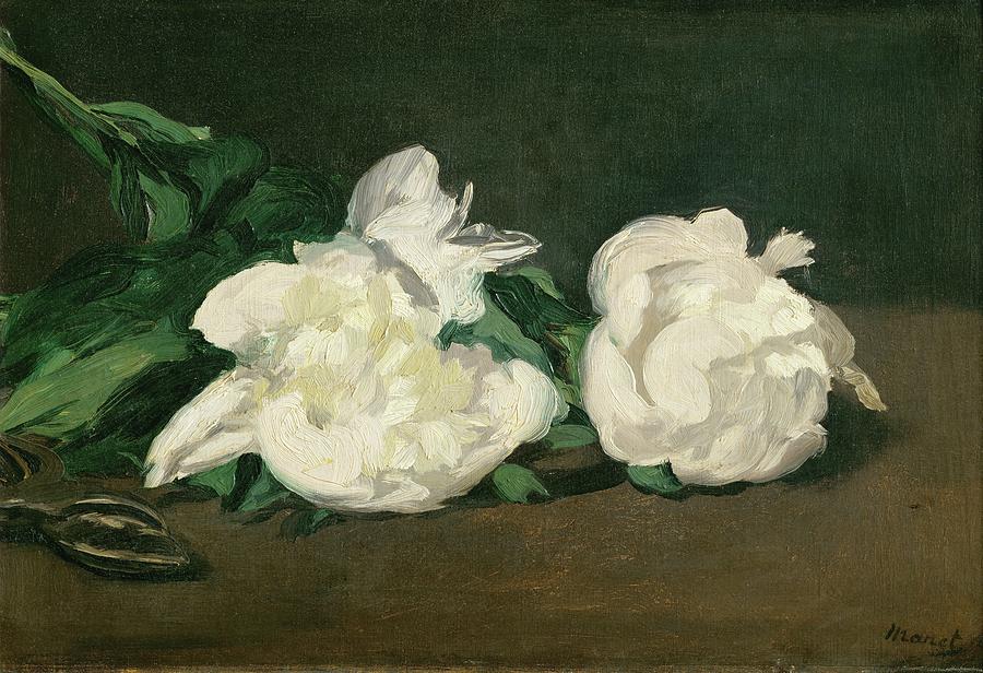 Branche de pivoines blanches et secateur, 1864 A twig of white peonies with pruning shears, 1864. Painting by Edouard Manet -1832-1883-