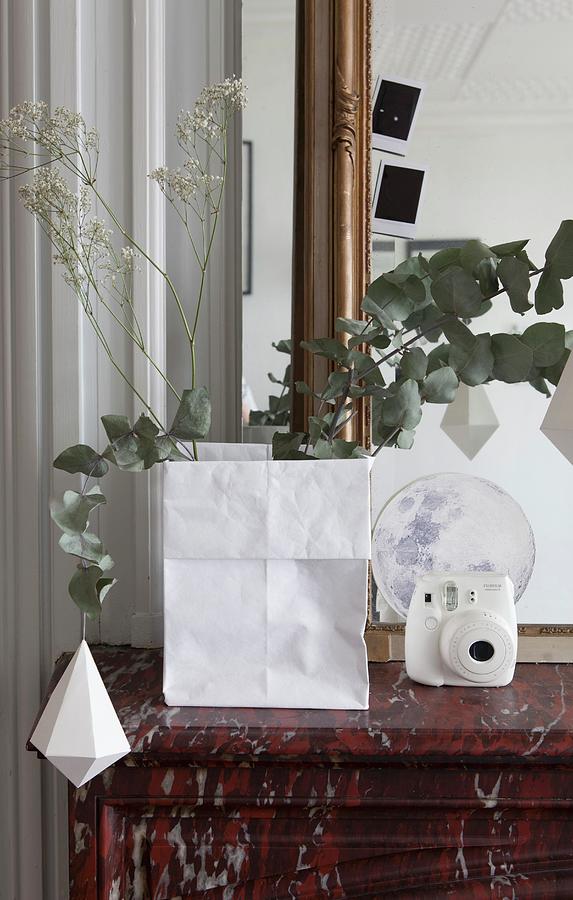 Branches In Paper Bag On Mantelpiece Photograph by Anne-catherine Scoffoni