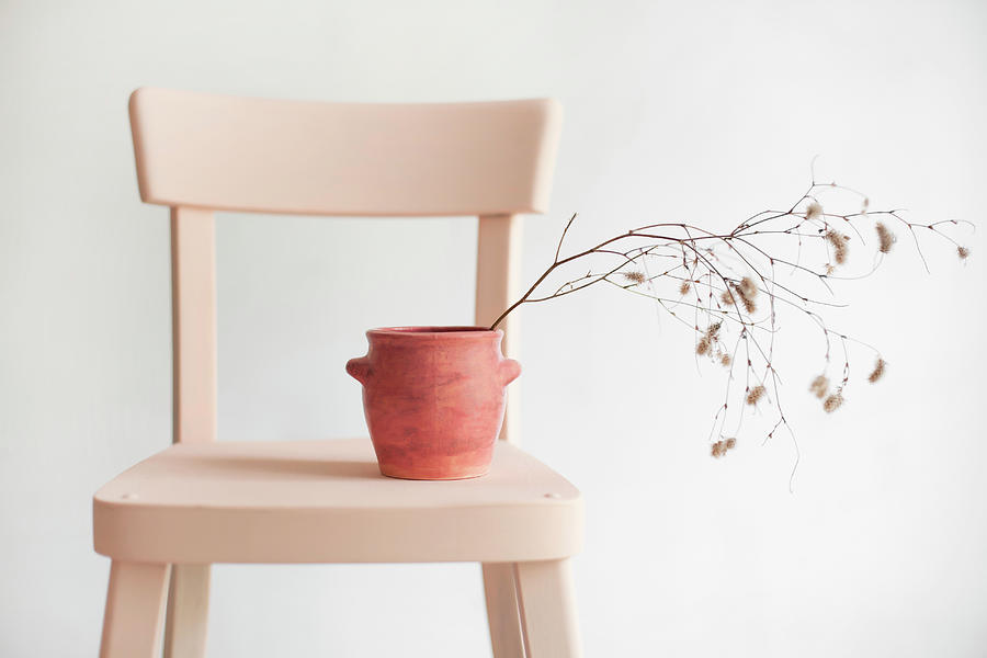 Branches Of Catkins In Terracotta Pot On Chair Photograph by Alicja Koll