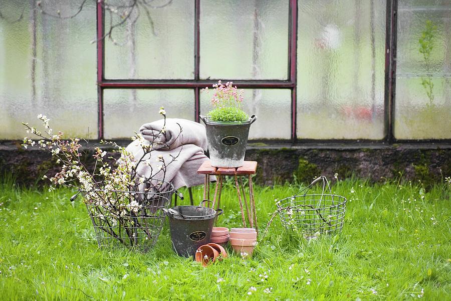 Branches Of Fruit Blossom In Wire Basket, Terracotta Pots, Rustic Woollen Blanket And Flowering Plant On Stool On Green Spring Lawn Photograph by Alicja Koll