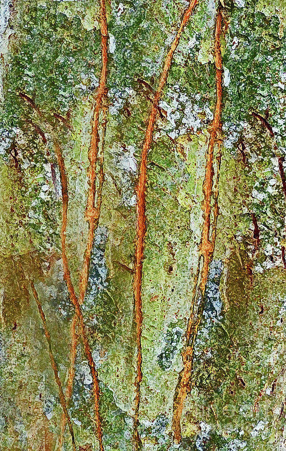 Branching Out Mixed Media by Sharon Williams Eng