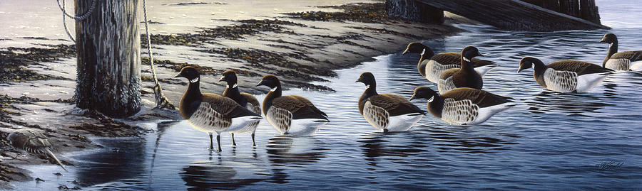 Brant Coming Ashore Painting by Wilhelm Goebel - Fine Art America