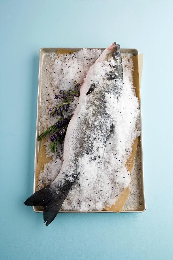 Branzini In A Lavender Salt Crust Photograph by Michael Wissing