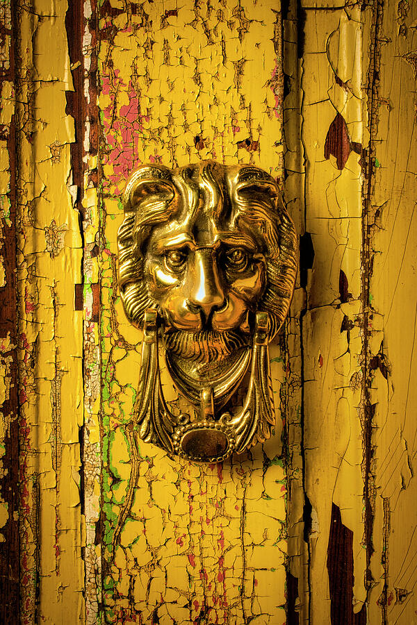 Brass Door Lion Door Knocker Photograph by Garry Gay