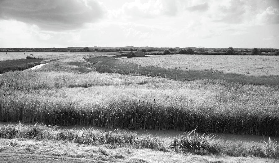 Black And White Landscape Photograph - Braunton Marshes Velator by Mark Woollacott
