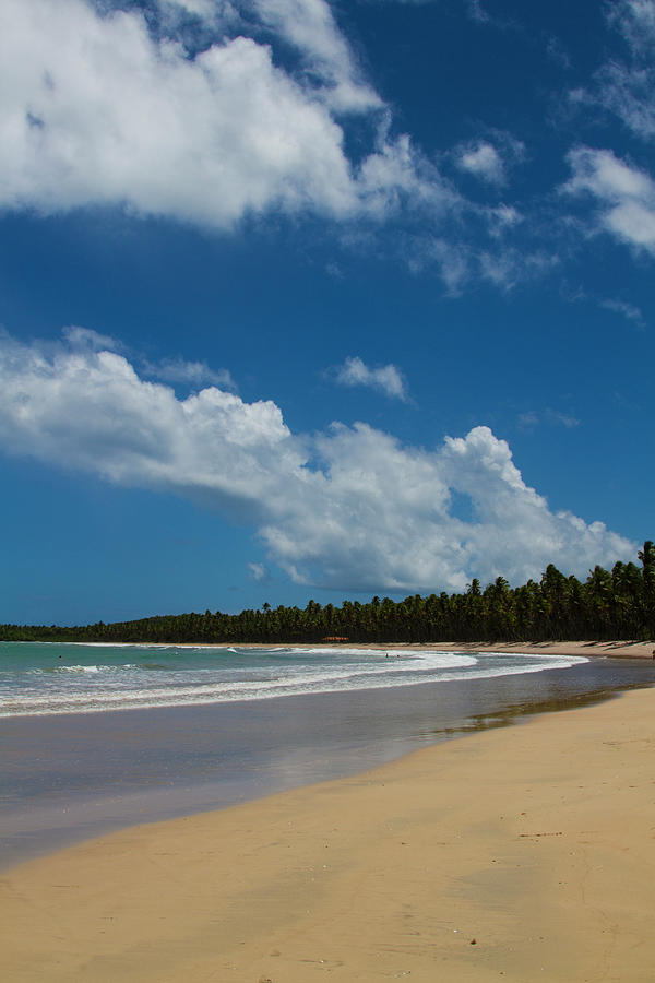 Brazil, Boipeba Island, Cueira Beach by Aldo Pavan