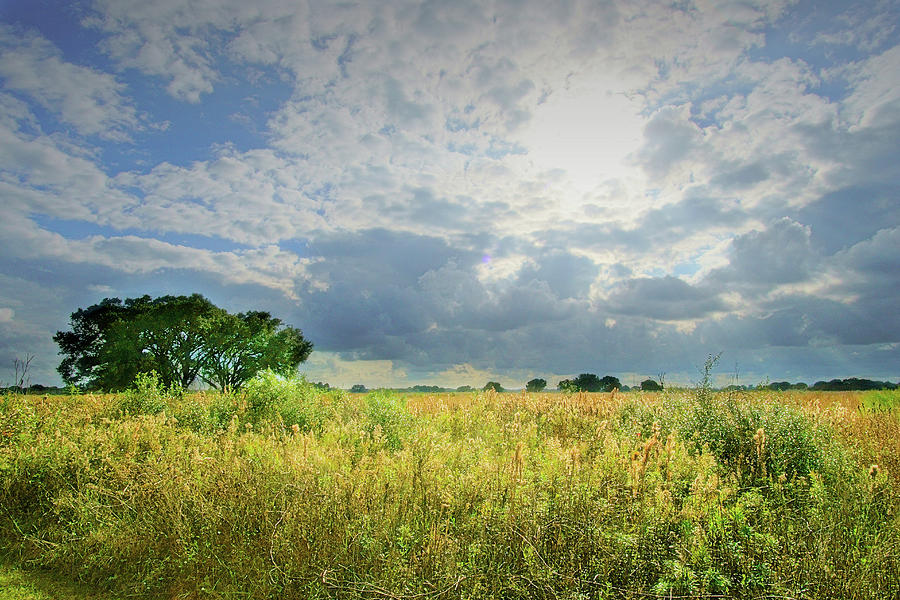 Houston Mixed Media - Brazos Bend State Park Prairie Heavenly Sky by Katrina Lau