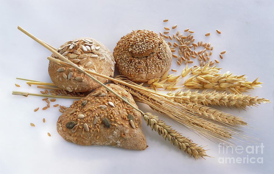 Bread And Cereals Photograph by Maximilian Stock Ltd/science Photo Library