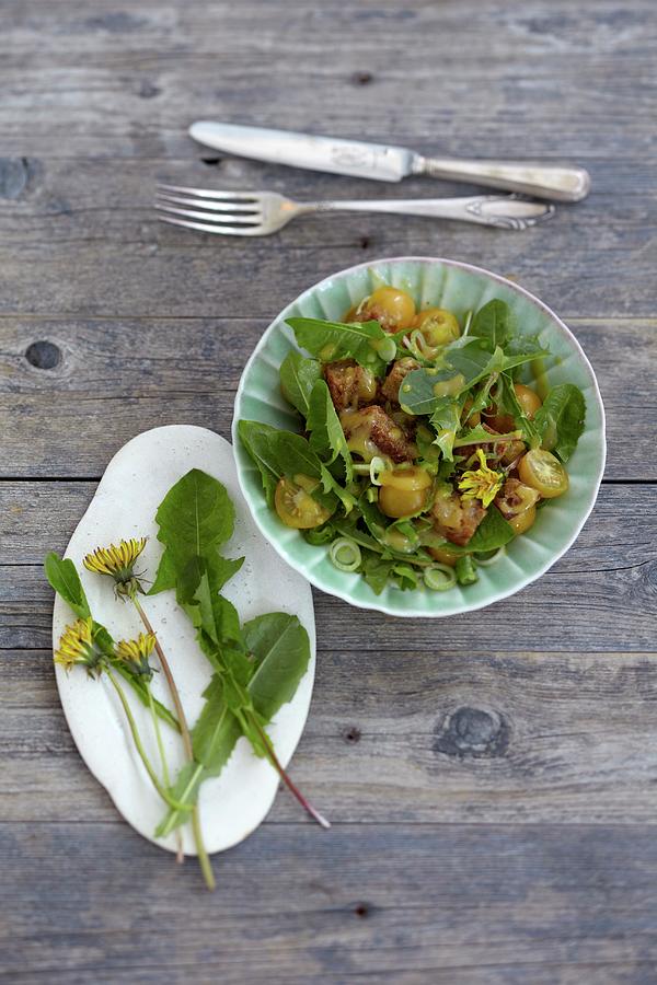 Bread Salad With Dandelion Leaves Photograph by Anke Schtz