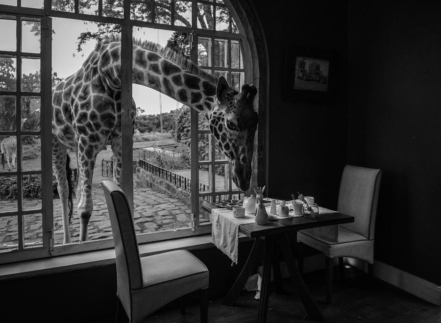 Tea Photograph - Breakfast Time by Jie  Fischer