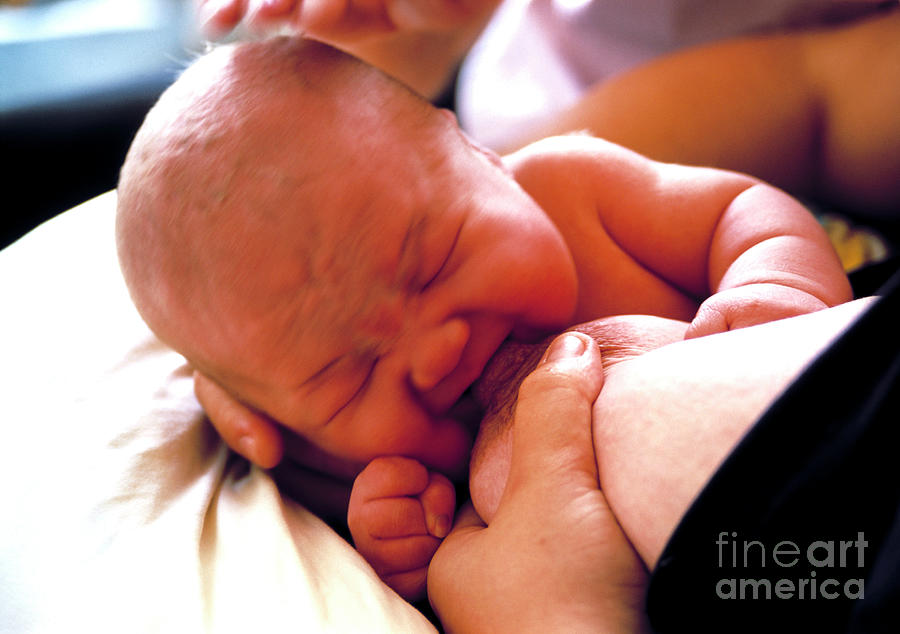 Baby breastfeeding - Stock Image - M831/0331 - Science Photo Library