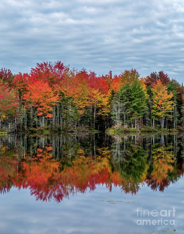 Breath of Autumn Photograph by Karin Pinkham