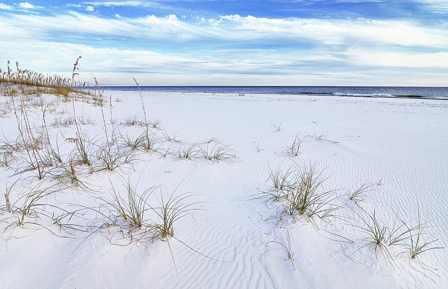 Breathe Deeply the Sea Air Photograph by Bill Chambers - Fine Art America