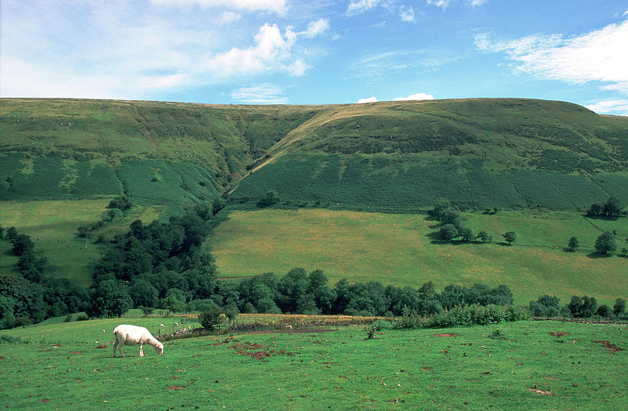 Brecon Beacons hillside Photograph by Seeables Visual Arts